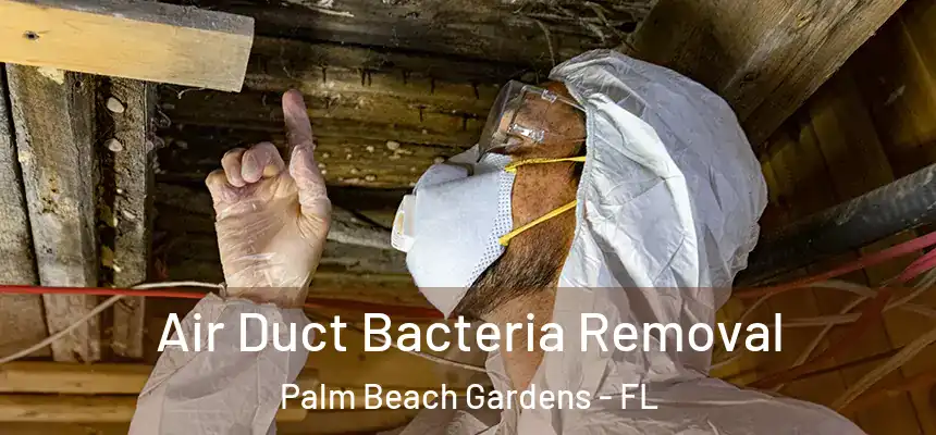  Air Duct Bacteria Removal Palm Beach Gardens - FL