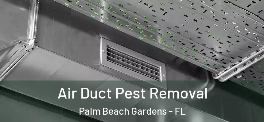  Air Duct Pest Removal Palm Beach Gardens - FL