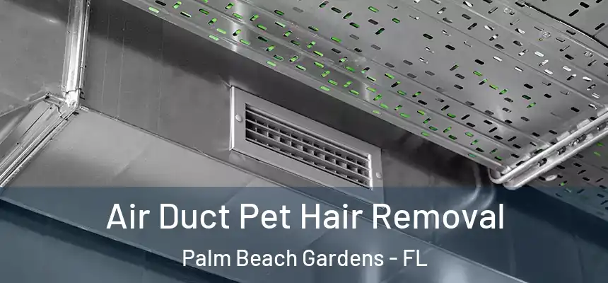  Air Duct Pet Hair Removal Palm Beach Gardens - FL