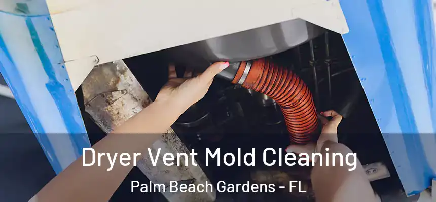  Dryer Vent Mold Cleaning Palm Beach Gardens - FL