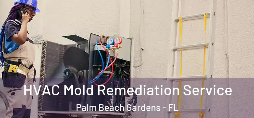  HVAC Mold Remediation Service Palm Beach Gardens - FL
