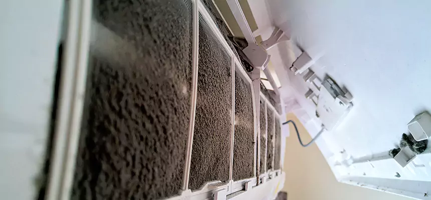 Preventive Air Duct Bacteria Removal in Palm Beach Gardens