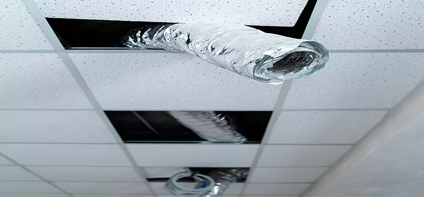 Our Air Duct Pet Hair Removal Services in Palm Beach Gardens, FL