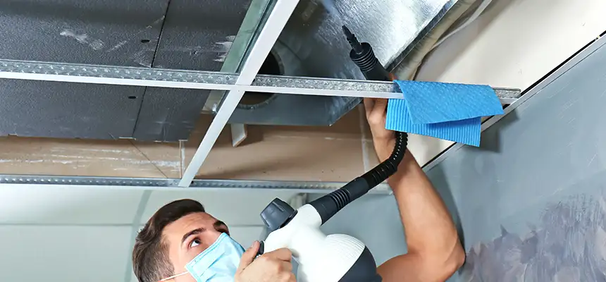 Our Air Duct Rodent Removal Services in Palm Beach Gardens, FL