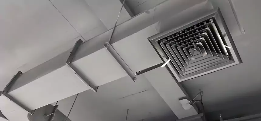 Restorative Allergy Relief Vent Cleaning – Coil, Blower & Housing Detail in Palm Beach Gardens