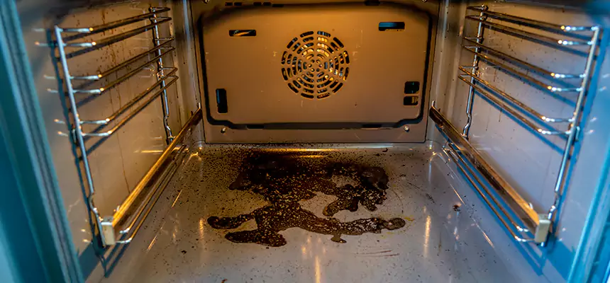 Our Dryer Vent Mold Cleaning Services in Palm Beach Gardens, FL