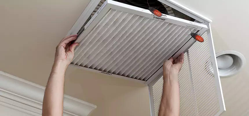 Our Insect Removal from Air Ducts Services in Palm Beach Gardens, FL