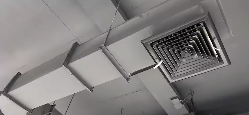 Our Pest Removal From Ducts Services in Palm Beach Gardens, FL