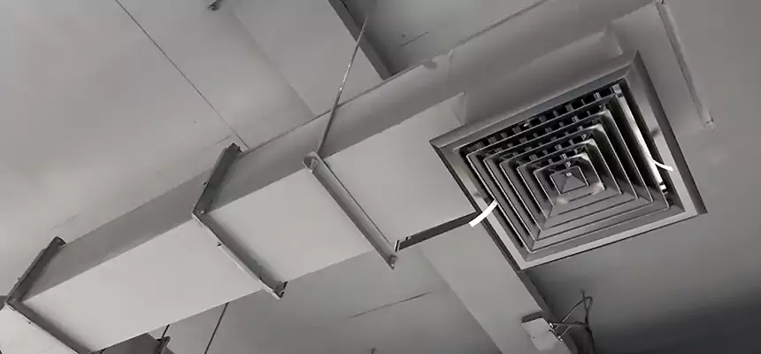 Our Rodent Droppings In Vents Services in Palm Beach Gardens, FL