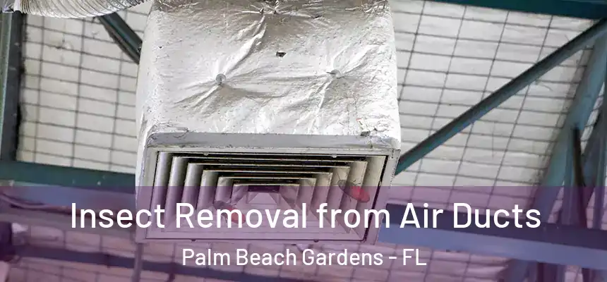 Insect Removal from Air Ducts Palm Beach Gardens - FL