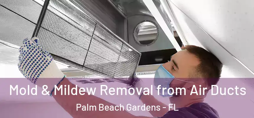  Mold & Mildew Removal from Air Ducts Palm Beach Gardens - FL