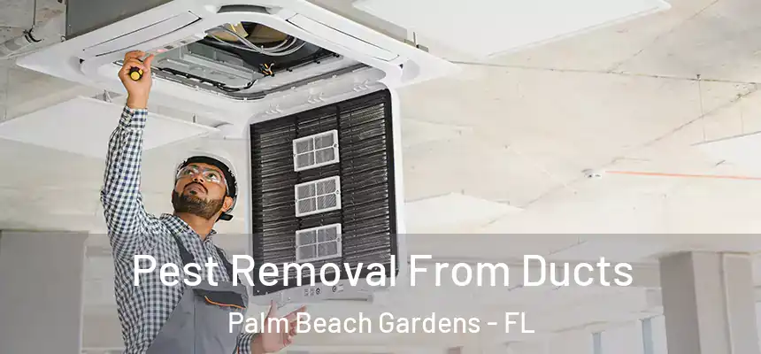 Pest Removal From Ducts Palm Beach Gardens - FL