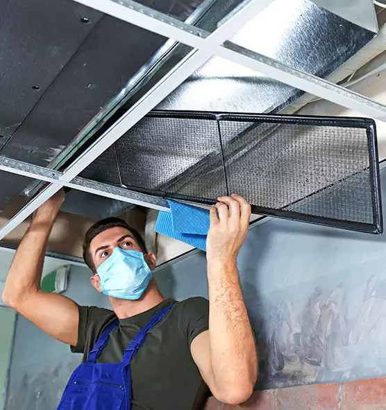 About Air Duct Bacteria Removal in Palm Beach Gardens