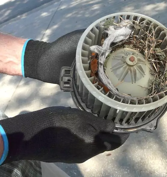 About Air Duct Mice Removal in Palm Beach Gardens, FL