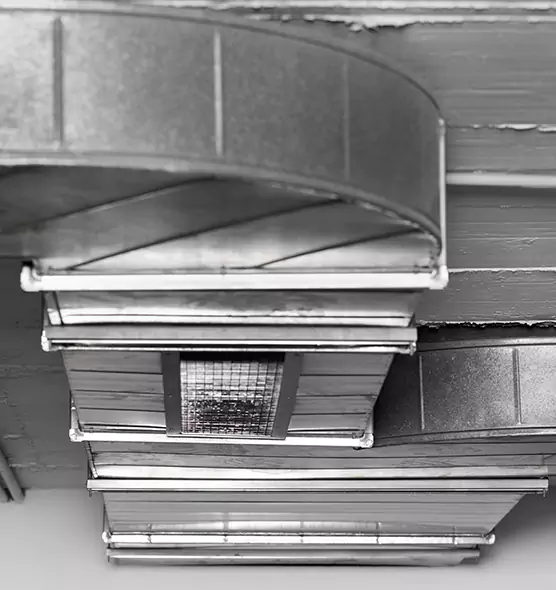 Professional Air Duct Pet Hair Removal in Palm Beach Gardens, FL