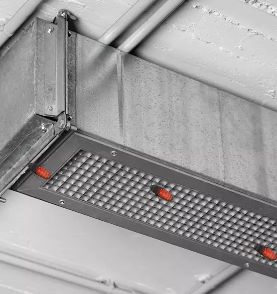 Affordable Insect Removal from Air Ducts in Palm Beach Gardens, FL