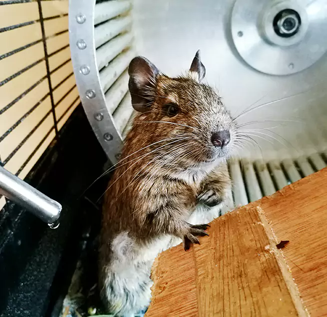 Why Homeowners & Businesses Trust Us Palm Beach Gardens, FL?