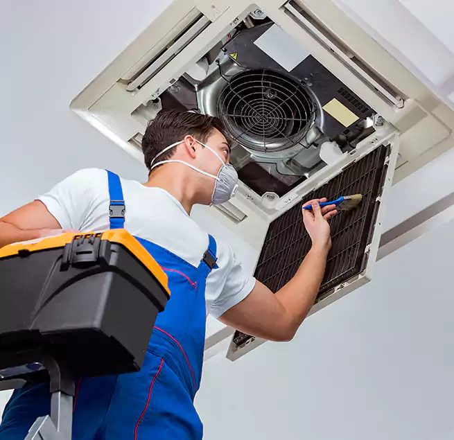 Why Homeowners & Businesses Trust Us in Palm Beach Gardens, FL