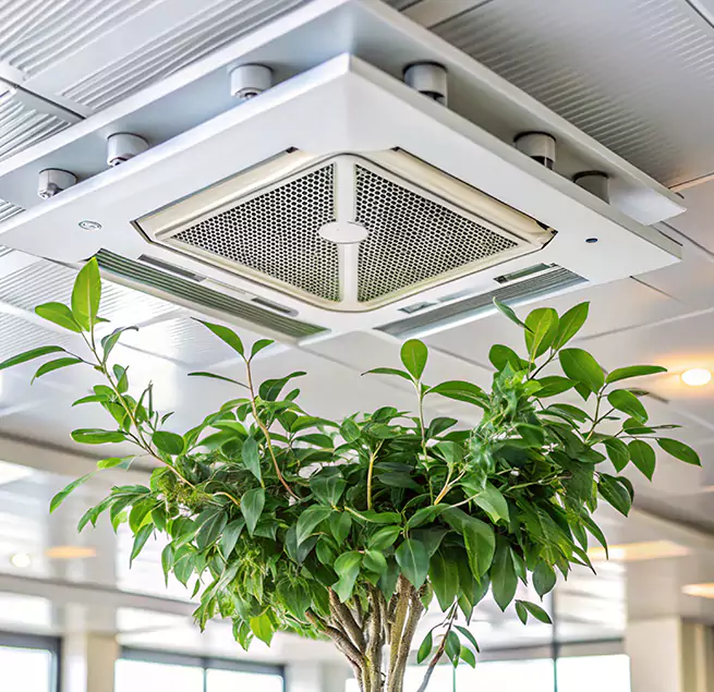 Why Homeowners & Businesses Trust Us in Palm Beach Gardens, FL?