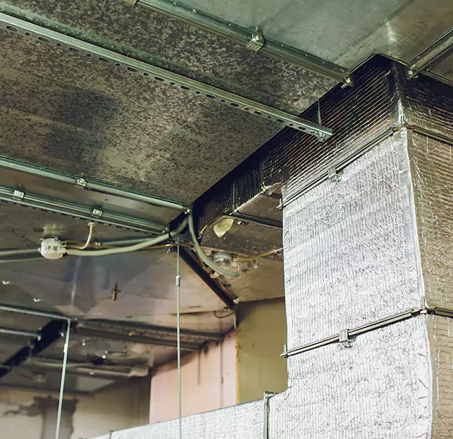 Why Homeowners & Businesses Trust Us in Palm Beach Gardens, FL?